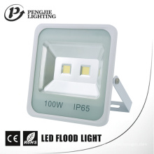 Projecteur carré d&#39;ÉPI LED de 100W pour le CE extérieur, RoHS
